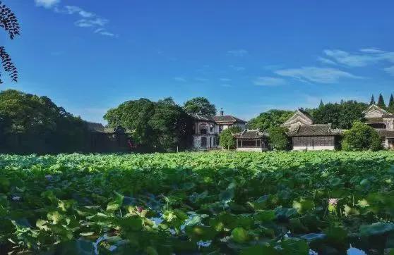 江南体育官网沪苏湖高铁沿线座车站周边可轻松打卡这些景区！(图9)