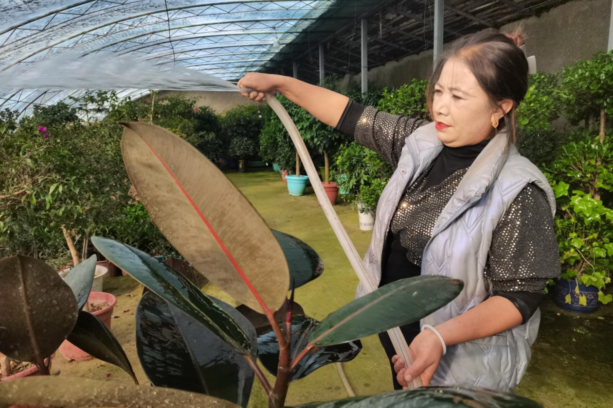 江南体育官网泽普：花卉热销季 小盆栽造出“大风景”(图2)