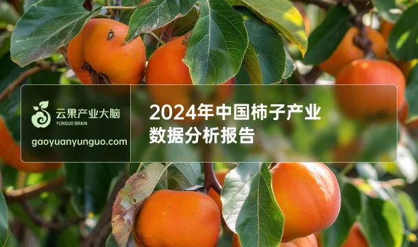 江南体育官网2024中国柿子产业数据大揭秘！(图1)