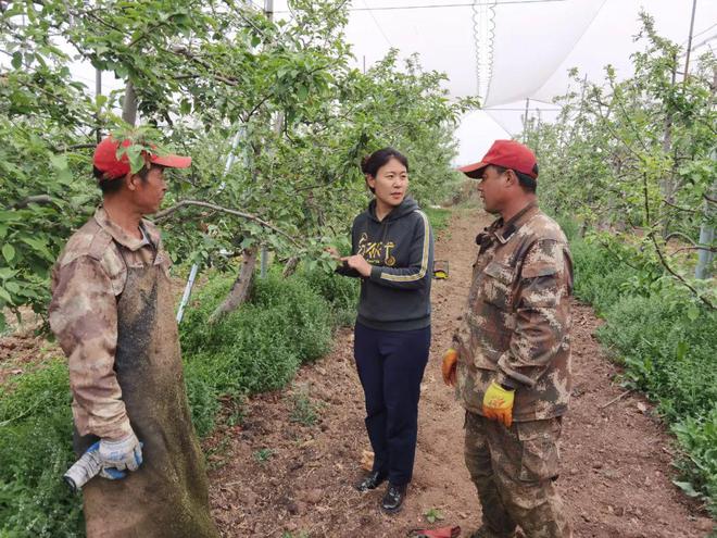 江南体育官网区代表米莉：脚踏一方水土 为乡村谋振兴(图1)