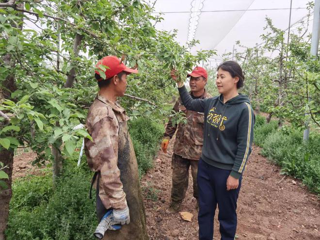 江南体育官网区代表米莉：脚踏一方水土 为乡村谋振兴(图3)