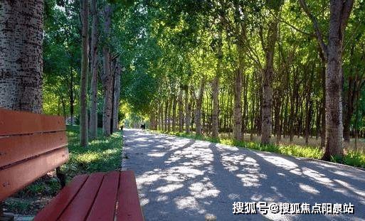 江南体育官网丽都壹号售楼处（丽都壹号官方发布）2024首页-最新详情-楼盘百科(图16)