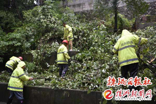 江南体育官网以“迅”应“汛”！荷塘区局守好“安全线”撑好“安全伞”(图3)