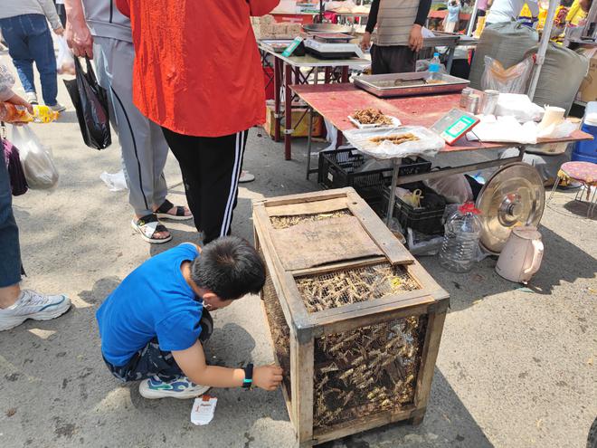 江南体育官网北京这里太好逛了花卉市场与农贸大集地处四环外交通便利(图2)