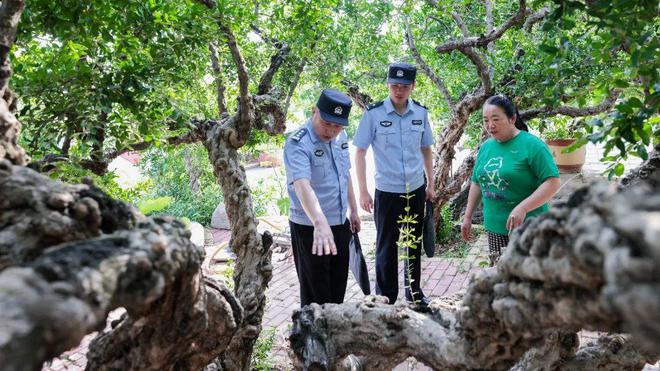 江南体育官网我和我的派出所（1）榴园派出所：警民“峄”家亲共护“石榴红”(图2)