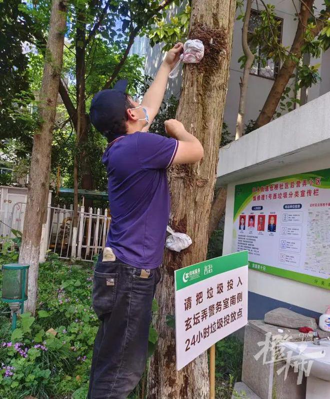 江南体育官网最近有杭州人的家中又出现密密麻麻一群！有人网上搜索后花了4000元结(图6)