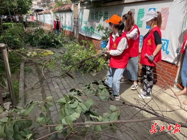 江南体育官网园林绿化养护师进社区老旧小区变美了居民住得舒心了(图1)