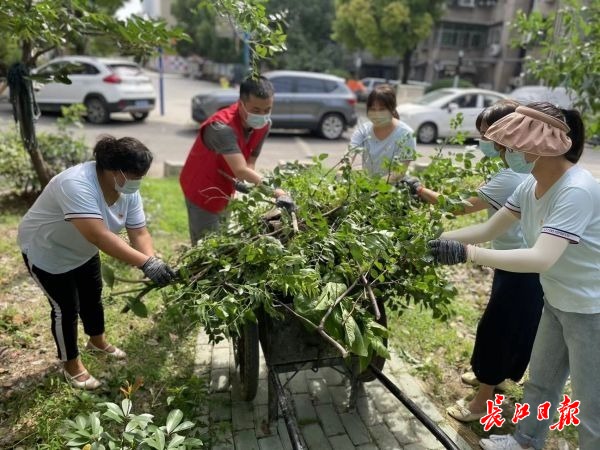 江南体育官网园林绿化养护师进社区老旧小区变美了居民住得舒心了(图4)