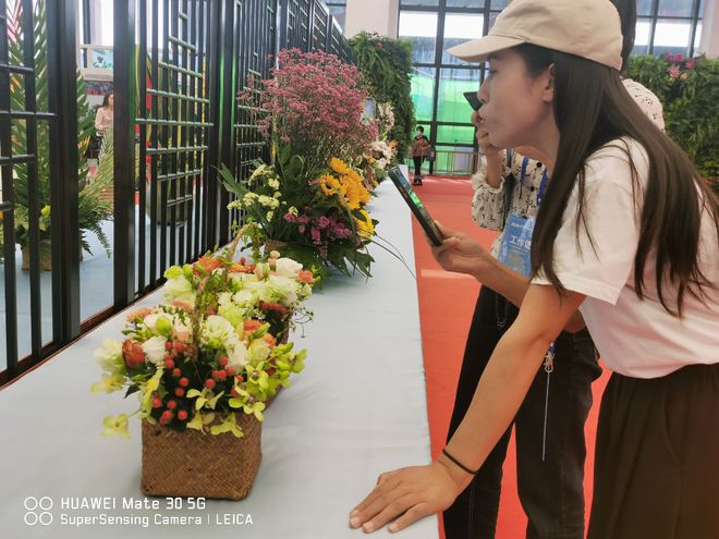 江南体育官网花木产业：沭阳小康路上最美风景(图3)