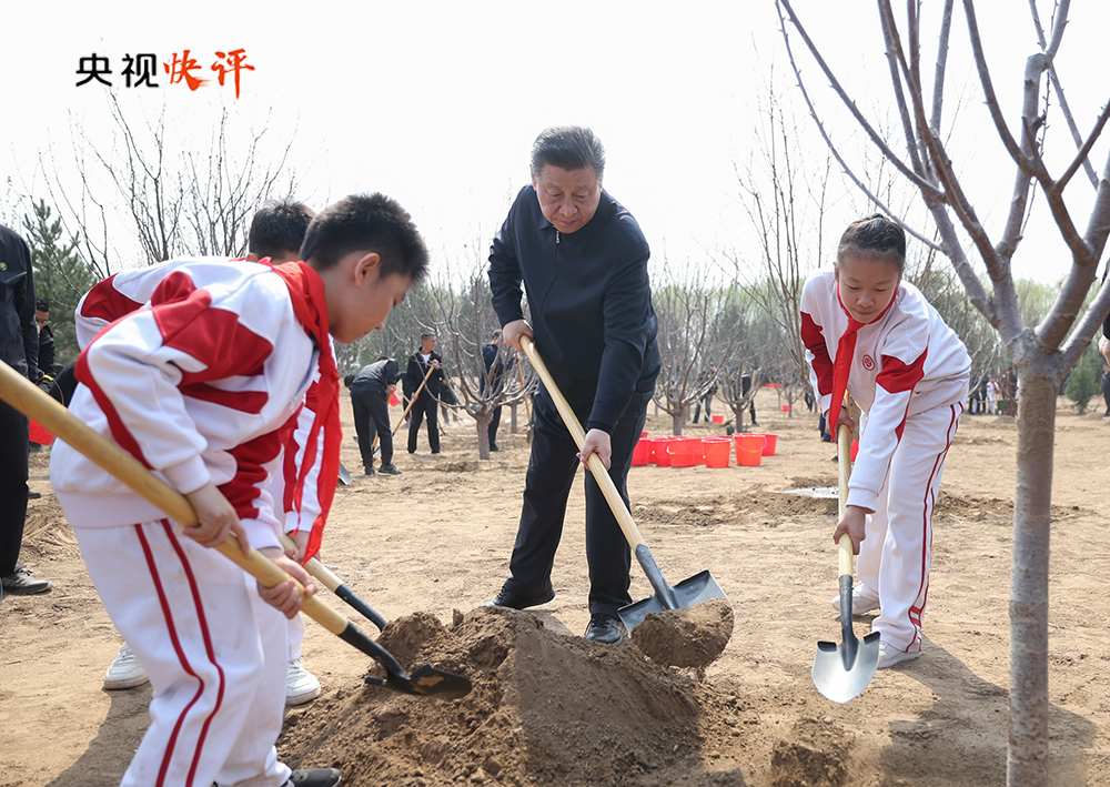 江南体育官网全民植树增绿 共建美丽中国(图1)