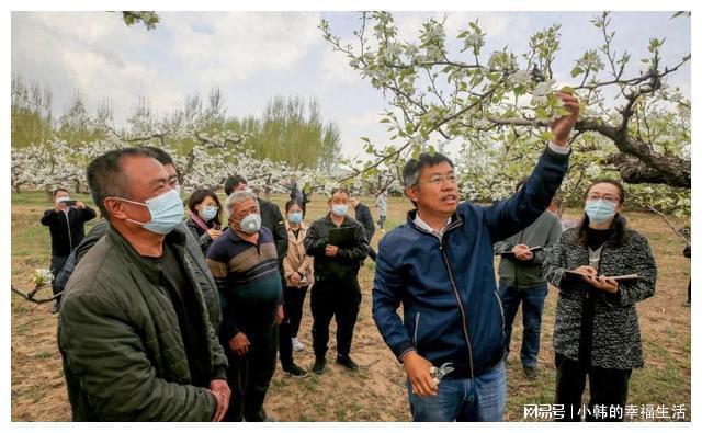 江南体育官网北京打造果树产业科技服务专家团队(图1)