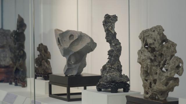 江南体育官网上博新展丨“木石双清：江南石供与海派盆景展”明起对外开放(图2)